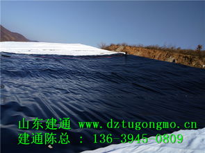 專業(yè)高效，品質(zhì)信賴 探訪江西復(fù)合土工布工廠直銷與山東建通建材加工服務(wù)