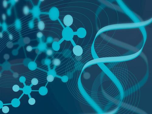 高齡妊娠中胚胎植入前遺傳學篩查的關鍵作用與數據處理技術